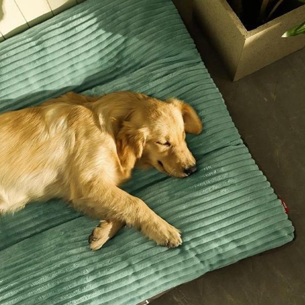 강아지 고양이 소형 중형 대형견 방석 쿠션 침대 L 이미지